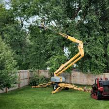 Best Tree Health Inspection  in Shattuck, OK